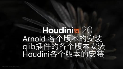 HOUDINI安装qlib安装arnold安装