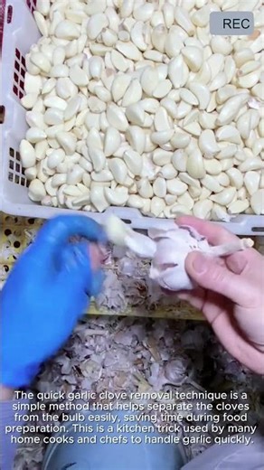 Garlic Clove Separation | Fast & Easy