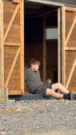 The life of a farm cat. 🐱