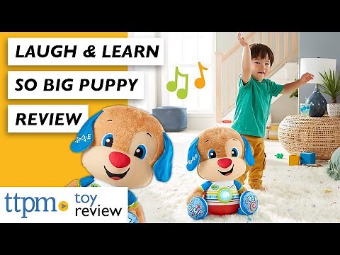 Laugh & Learn So Big Puppy Preschool Toy Review from Fisher-Price | TTPM Toy Reviews