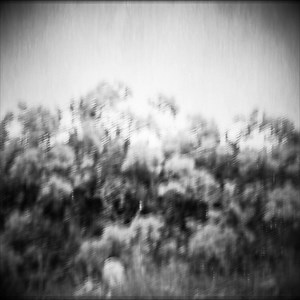 6.9K views · 69 reactions | Nuclear Blast on Reels | Facebook