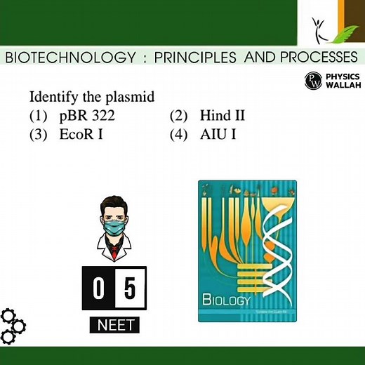 Biotechnology principles and processes class 12 #neet #neet2024