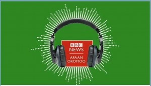 16K views · 1.9K reactions | Sagantaan Raadiyoo BBC Afaan Oromoo guutuun kunooti. Sababa rakkoo teeknikaan tamsaasi kallattii keenya guutummaatti waan darbuu dhabeef nu ofkalcha! Dhiyaadhaa! | BBC News Afaan Oromoo | Facebook