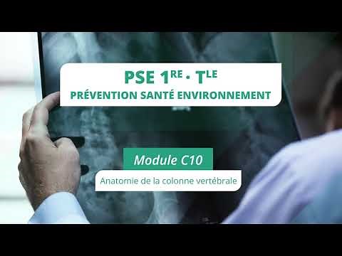 PSE module C10 bis: Anatomy of the spine