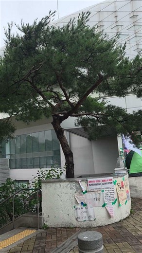 수요일아침 출근길, 올림픽공원 핸드볼경기장 모습입니다...