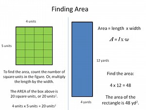 Perimeter and Area