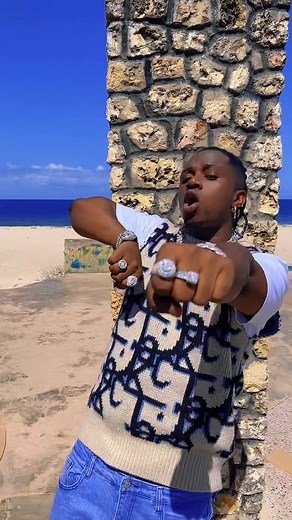 Nitongoze Challenge by Rayvanny and Diamond Platnumz