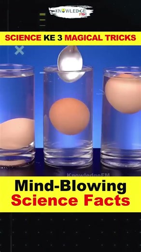 3 Science Tricks That Look Like Real MAGIC! 🤯 | Easy DIY Experiments You Must Try
