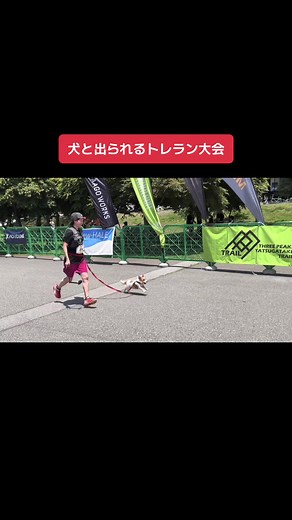 モカと18kmトレラン大会 - 犬と一緒に楽しむ素敵な体験
