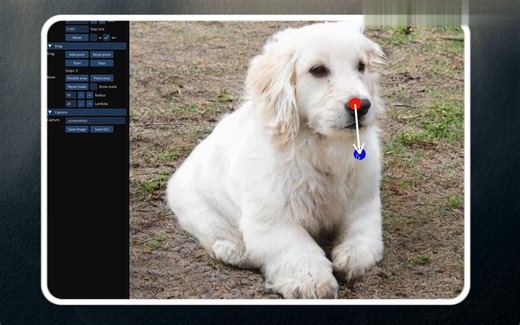 让大象转身，狮子张嘴的Ai黑科技软件DragGAN来啦！含离线版软件及安装教程使用教程