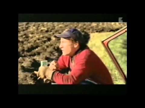 Polttasit ees norttia..