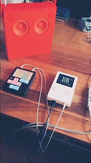 Nanoloop Jungle. #analoguepocket