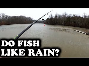 Do Fish Like Rain? Bluegill Fishing with Nightcrawlers on a Rainy Day