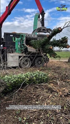Monster Wood Chipper Machine! Huge Tree Branches Instantly Turn Into Chips 🌳⚙️
