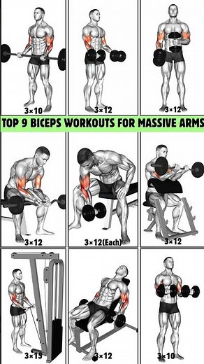 Top 9 Biceps Workouts for Massive Arms | #workout #bicepsworkout