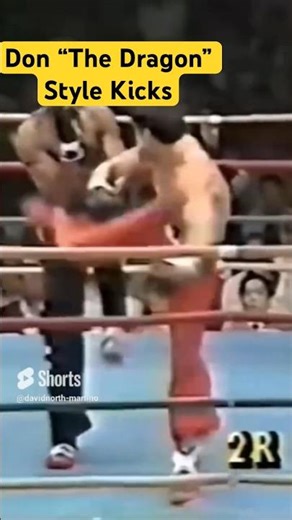 Don “”The Dragon” Wilson Fight a Bigger Man! #kickboxing #tkd ‪@VikingSamurai‬
