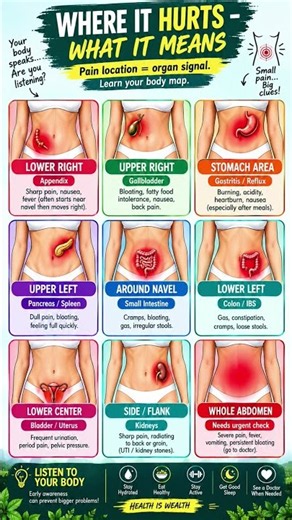 Stomach Pain Location Reveals What’s Wrong? 🤔 | Body Pain Map #shorts