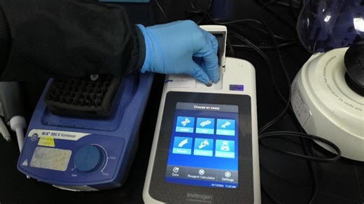 1分钟学会Qubit浓度检测！