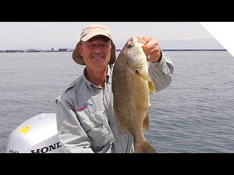 The Finesse Approach to Fishing a Drop Shot