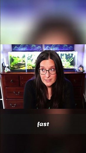 Easiest Aquarium Plants for Beginners: Floating Wonders!