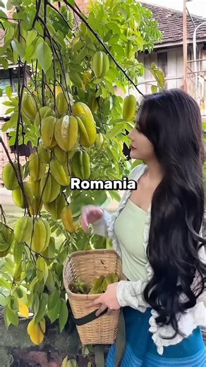 Which Country Eats Which Most Food 🤔