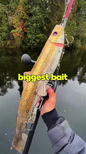 Ripping Scales Off Fish: A Profit Breakdown