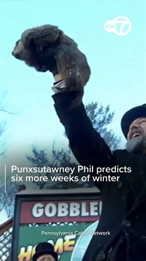 GROUNDHOG DAY 2026: Punxsutawney Phil is said to be predicting six more weeks of wintry weather after he saw his shadow. | ABC 7 Chicago