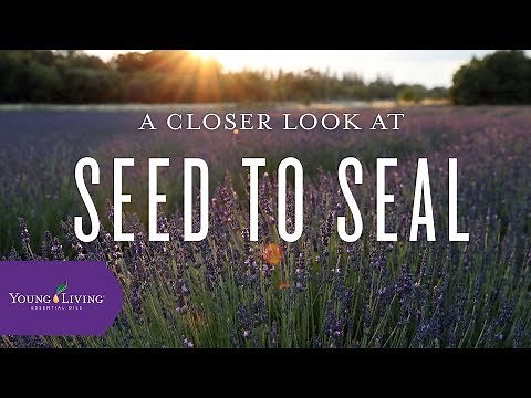 A Closer Look at Seed to Seal | Young Living Essential Oils