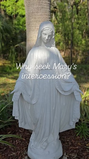 9.8K views · 1.2K reactions | Lent day 17 of 40 ✝️ Pray the rosary! "Mary is a creature like us, but, having been elevated to be the Mother of God, she has extraordinary power..... The Rosary, being the prayer most appreciated by our Lady, is an extremely powerful arm against the devil, and I warmly recom­mend it to anyone suffering from spiritual evils." - Fr. Gabriele Amorth, The Catholic Exchange interview | SweetCatholiclife | Facebook