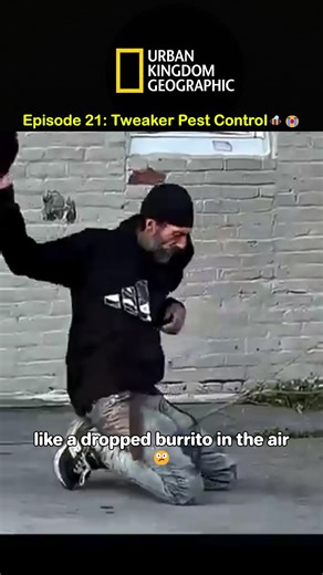 Humorous Epic Fails in Nature Attempts