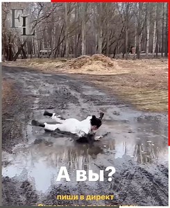 358K views · 7.3K reactions | "Oops! Funny Guy Fails Compilation" | El Limón Guerrero | Facebook