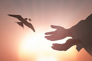 Père René-Luc : la parabole du soleil ou comment expliquer la Trinité