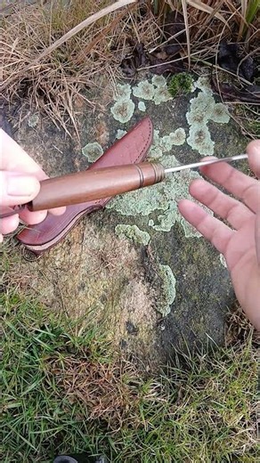 N690: Mosas s patinou/Ipe Lapacho