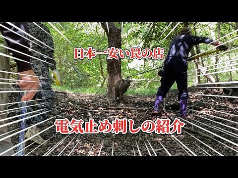 日本一安い罠の店 電気止め刺しの紹介 【閲覧注意】止め刺し映像あり