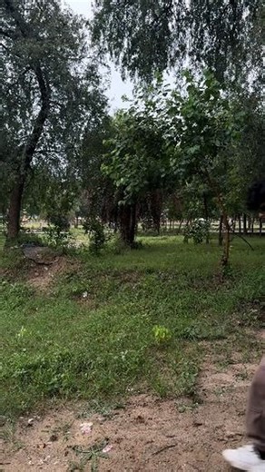 pavan_014🔥 on Instagram: "Jada he Bol gya sayad 🔫😂 . . #viral #pavanrajani014"