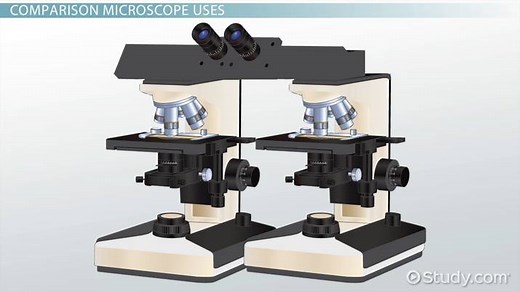 Comparison Microscope | History, Structure & Uses