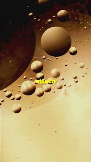 Mineral Benification Process: How to Separate Gold from Gold Ore #goldmining #benification #gold