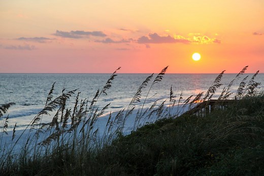Top Things to Do in Santa Rosa Beach, FL • Authentic Florida