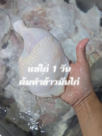 แช่ไก่ข้ามคืน #สอข้าวมันไก่นายอ้วน #ข้าวมันไก่ #カオマンガイ #鸡肉蒸饭 #Chickenrice