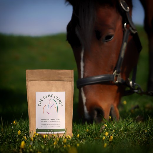 Green Clay for Horses