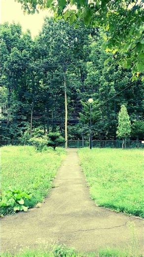 Hidden Zen Moment in Sapporo – backdoor #005