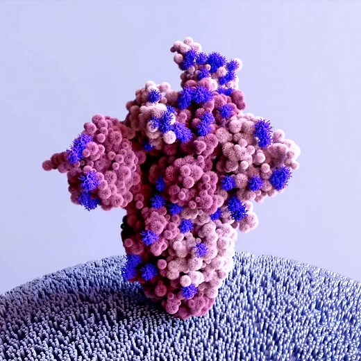 Understanding the Omicron Variant: Spike Protein Mutations Explained