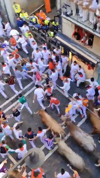 Running of the Bulls Chaos! Brave Runners vs Wild Bulls in Spain #bulldodging #bull #bullrun