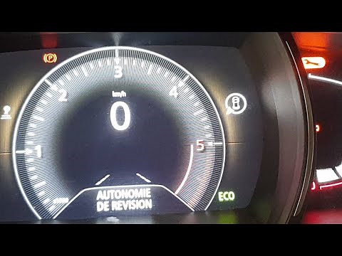 How to Reset the Scenic 4 Service Light