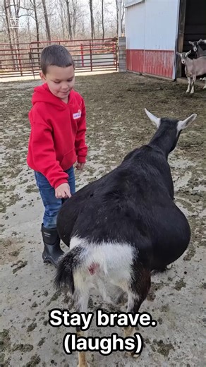 Guess what? Our goat is going to have babies, and I think she's having twins! I'm so excited! 🐐👶👶✨