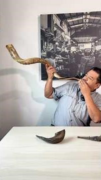 What is a #Shofar? #biblicalarchaeology #archaeology #collector #trumpet