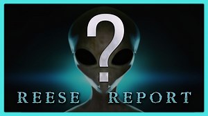 REESE REPORT | WHO ARE "THEY"?