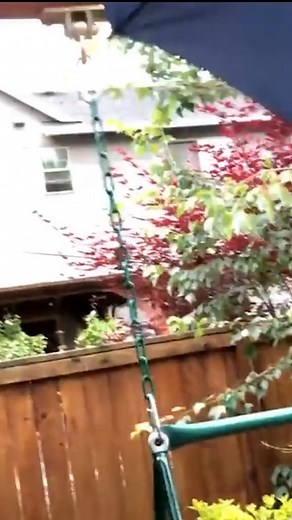 Can an umbrella be a parachute? ☂️ | The Action Lab