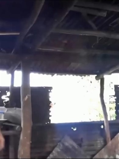 Chi Chi Chimo Chimo: Memes y Humor en Roblox