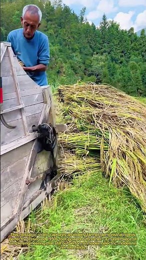 🌾 Vintage Grain Threshing! 80-Year-Old Farmer’s Genius Foot-Powered Machine
